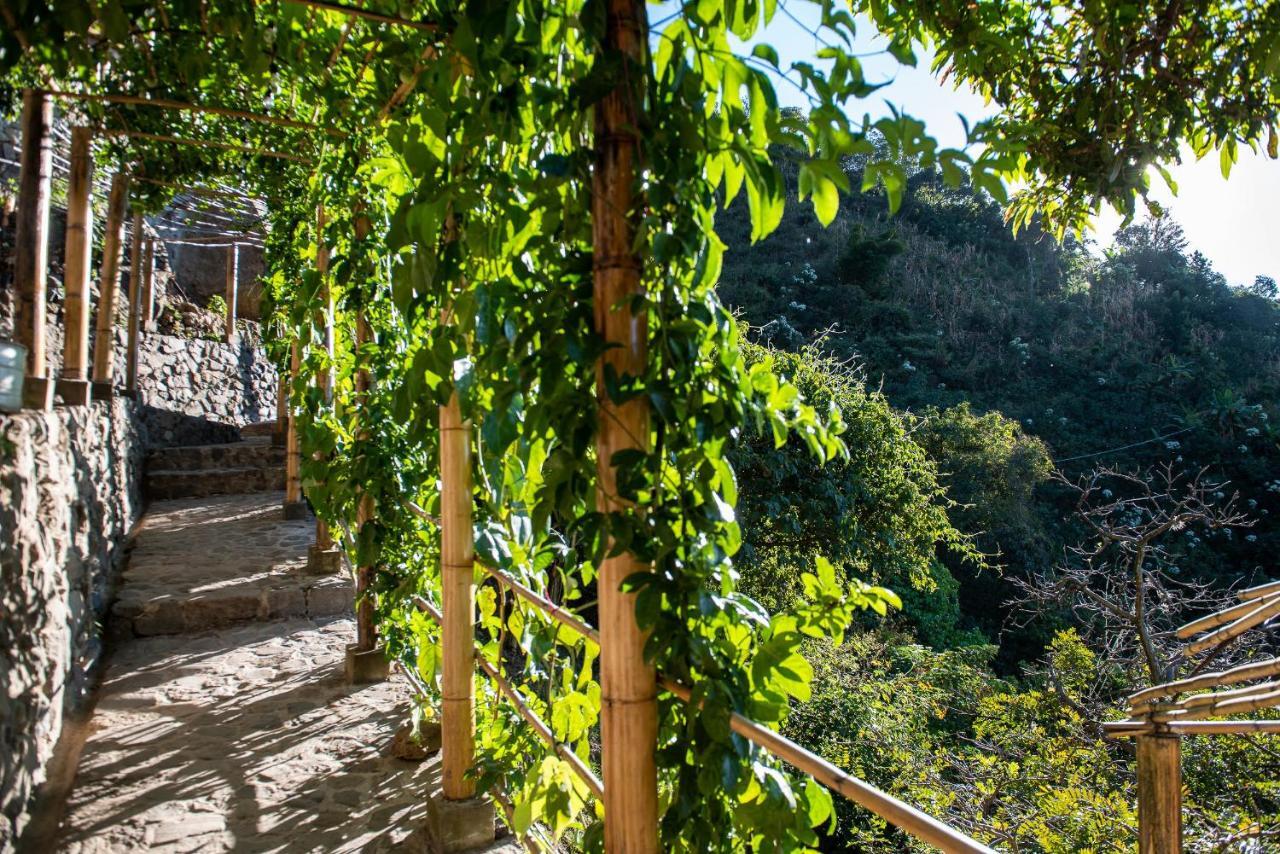 El Picnic Atitlan Hotel Tzununa Bagian luar foto